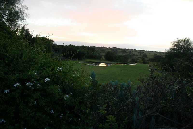 Leeuwenbosch Country House - Amakhala Game Reserve Luaran gambar