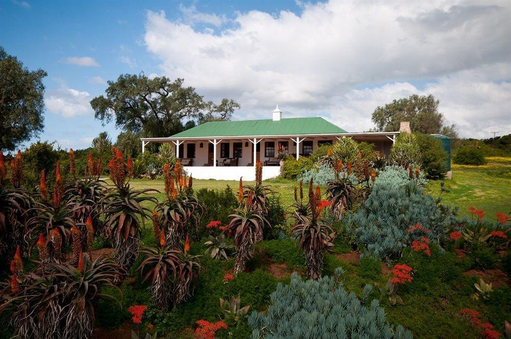 Leeuwenbosch Country House - Amakhala Game Reserve Luaran gambar