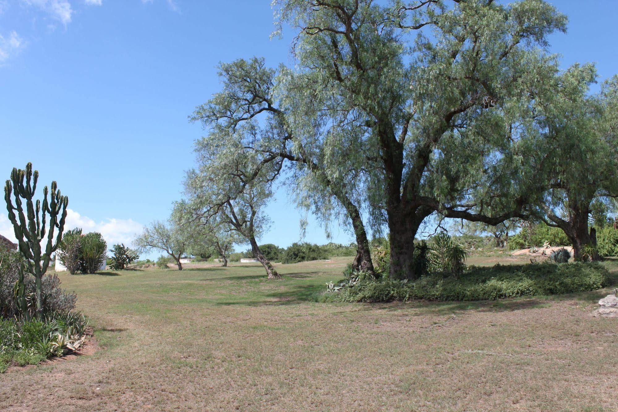 Leeuwenbosch Country House - Amakhala Game Reserve Luaran gambar