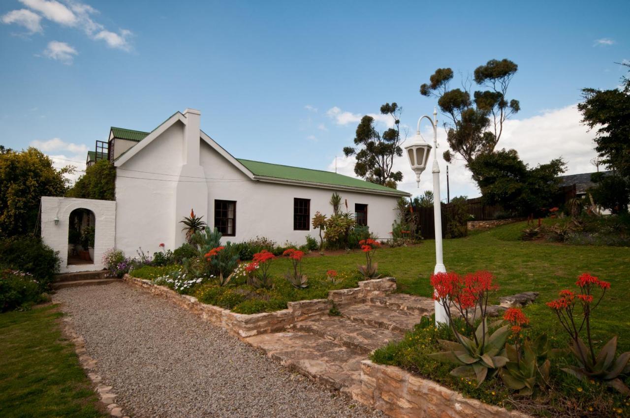 Leeuwenbosch Country House - Amakhala Game Reserve Luaran gambar